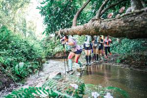 BIB: 
                            <button type="button" onclick="openModal(25477614)" class="btn btn-primary btn-sm float-right btn-popup" data-toggle="modal" data-target=".modal-high-quality">
                        <i class="fas fa-shopping-cart"></i> Add to Cart
                    </button>
                                            <button type="button" onclick="isThisMe(25477614, true)" class="btn btn-success btn-sm float-right btn-popup btn-isme hidden" data-toggle="tooltip" data-placement="bottom" title="นี่คือรูปของคุณใช่ไหม คลิกที่นี่เพื่อเอาเข้าอัลบั้ม">
                        <i class="fas fa-plus"></i> Add to album
                    </button>
                    <button type="button" onclick="isThisMe(25477614, false)" class="btn btn-warning btn-sm float-right btn-popup btn-isnotme hidden">
                        <i class="fas fa-ban"></i> Remove from album
                    </button>